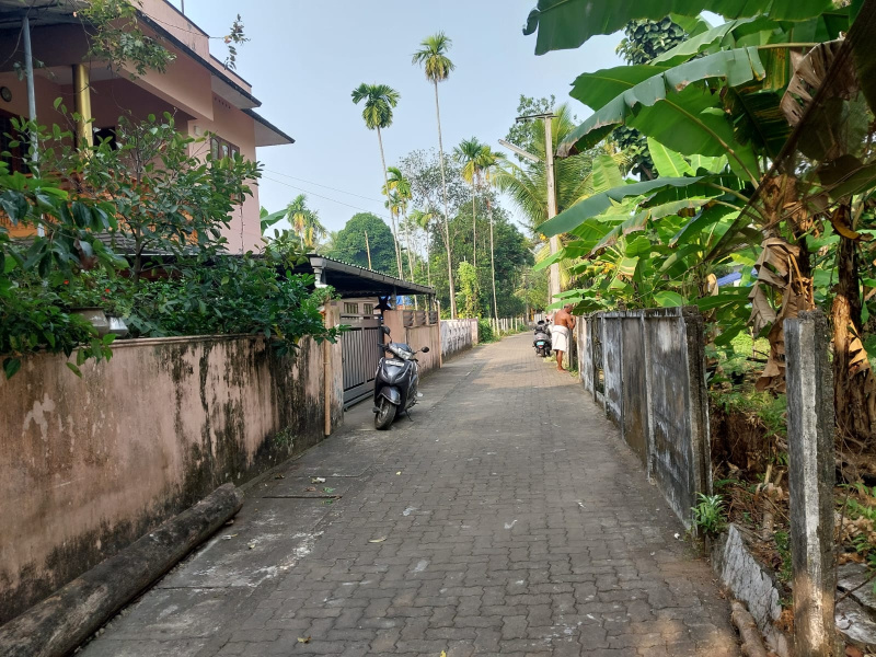 2 BHK 700 Sq.ft. House for Sale in Vallarpadom, Kochi