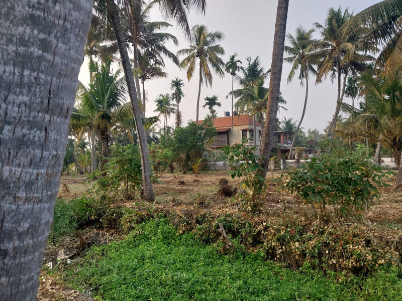  63 Cent Residential Plot for Sale in Kadamakkudy, Ernakulam