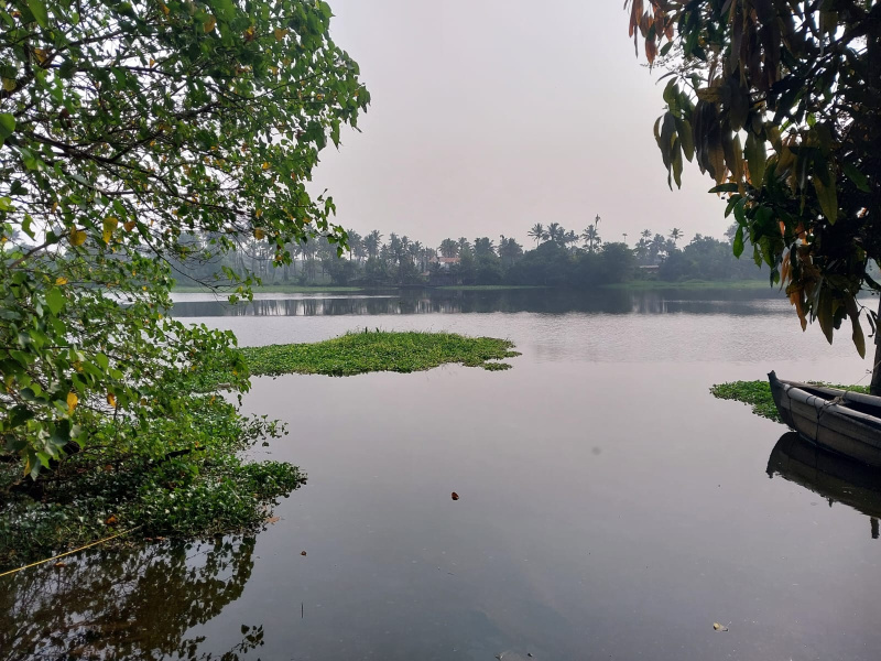 2 BHK 650 Sq.ft. House for Sale in Varappuzha, Ernakulam