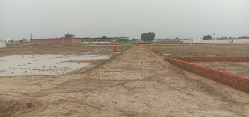  Residential Plot 13000 Sq.ft. for Sale in Chitaipur, Varanasi