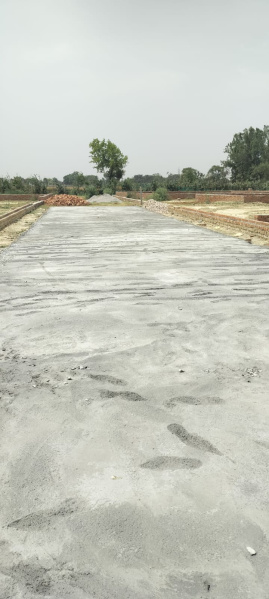  Residential Plot 1223 Sq.ft. for Sale in Sultanpur Road, Sultanpur Road, Lucknow