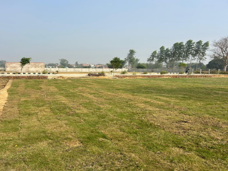  Residential Plot 1005 Sq.ft. for Sale in Sultanpur Road, Lucknow