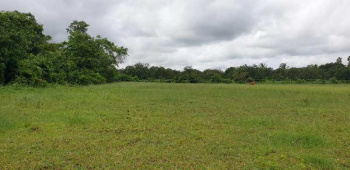  Agricultural Land for Sale in Sarigam, Valsad