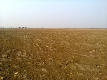  Industrial Land for Sale in Bhilad, Valsad