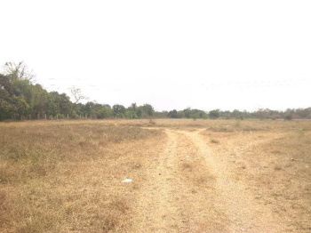  Agricultural Land for Sale in Sanjan, Valsad