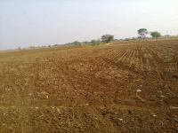  Agricultural Land for Sale in Sarigam, Vapi