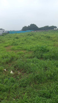  Agricultural Land for Sale in Umbergaon, Valsad