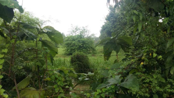  Agricultural Land for Sale in Pali Hill, Valsad