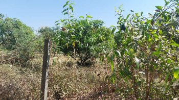  Agricultural Land for Sale in Umbergaon, Valsad