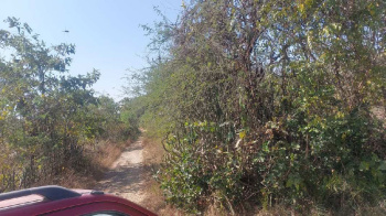  Agricultural Land for Sale in Umbergaon, Valsad