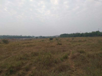  Industrial Land for Sale in Sarigam, Vapi