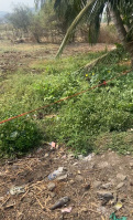  Residential Plot for Sale in Nagaon, Alibag, Raigad
