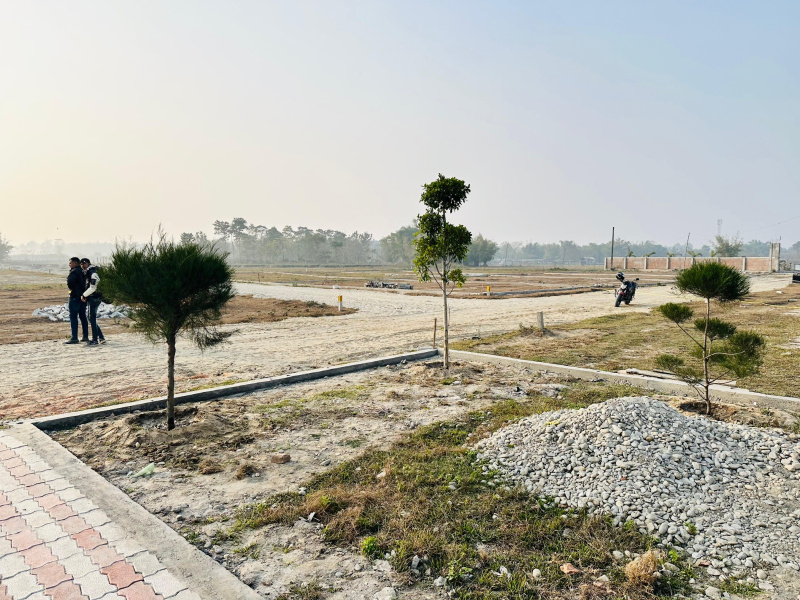  Residential Plot 720 Sq.ft. for Sale in Shiv Mandir, Siliguri