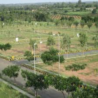  Residential Plot for Sale in Shabad, Rangareddy