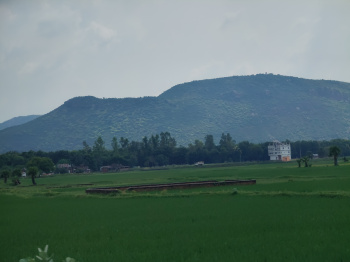  Residential Plot for Sale in Rajgir, Nalanda