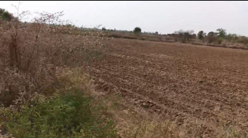  Agricultural Land for Sale in Kuhi, Nagpur