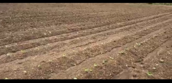  Agricultural Land for Sale in Kondhali, Nagpur