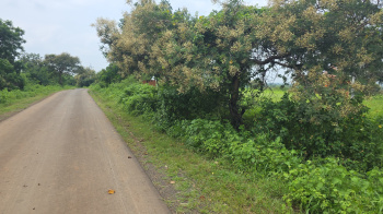  Agricultural Land for Sale in Narkhed, Nagpur