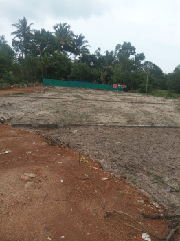  Commercial Land for Sale in Muhamma, Alappuzha