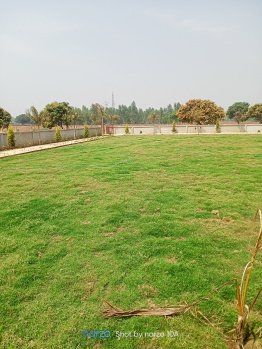  Residential Plot for Sale in New Moradabad