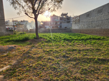  Agricultural Land for Rent in Badshahpur, Gurgaon