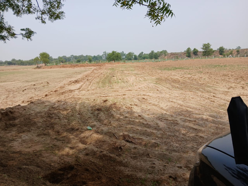  Agricultural Land 20 Acre for Rent in Sohna, Gurgaon