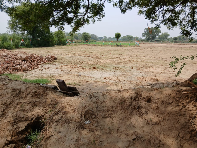  Agricultural Land 20 Acre for Rent in Sohna, Gurgaon