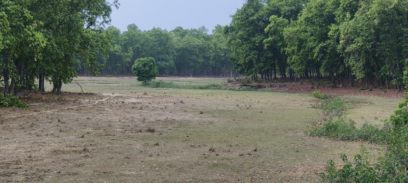  Agricultural Land 4 Acre for Sale in Bandhavgarh National Park, Umaria