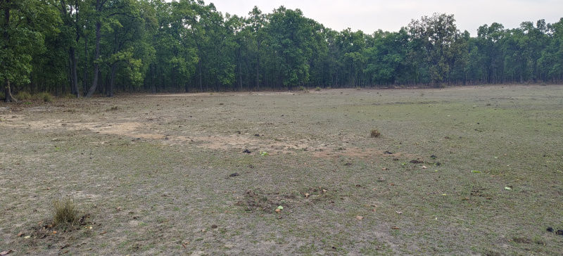  Agricultural Land 4 Acre for Sale in Bandhavgarh National Park, Umaria