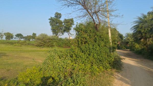  Agricultural Land 2 Acre for Sale in Chegunta, Medak