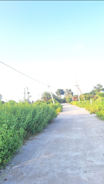  Agricultural Land 2 Acre for Sale in Chegunta, Medak