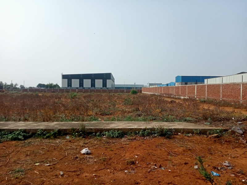  Residential Plot 1200 Sq. Yards for Sale in Ghiloth, Alwar