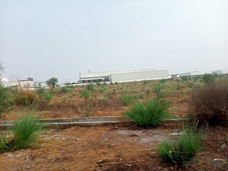  Residential Plot 1200 Sq. Yards for Sale in Ghiloth, Alwar