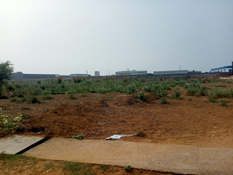  Residential Plot 1200 Sq. Yards for Sale in Ghiloth, Alwar