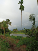  Residential Plot for Sale in Nodakhali, South 24 Parganas