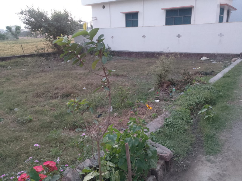  2200 Sq.ft. Residential Plot for Sale in Himmatpur Malla, Haldwani