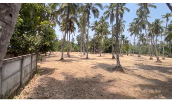  Residential Plot for Sale in Guruvayur, Thrissur