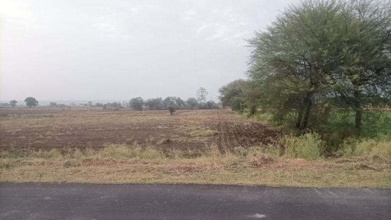 1 RK Farm House 10 Acre for Sale in Dahanu, Palghar