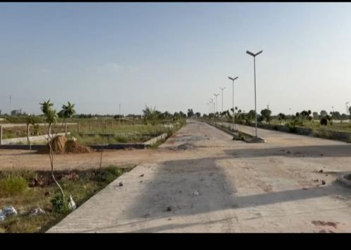  Agricultural Land 5 Acre for Sale in Kanina, Mahendragarh