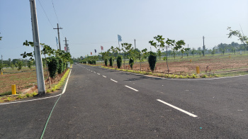  Residential Plot for Sale in Bhogapuram, Visakhapatnam