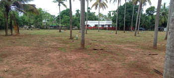  Residential Plot for Sale in Mundupalam, Thrissur