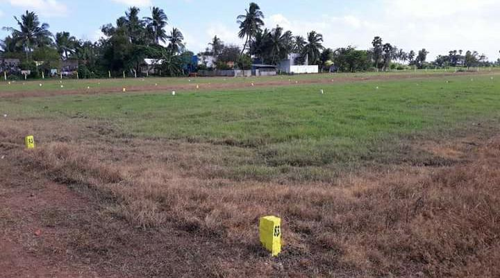  Residential Plot 800 Sq.ft. for Sale in Ponneri, Thiruvallur