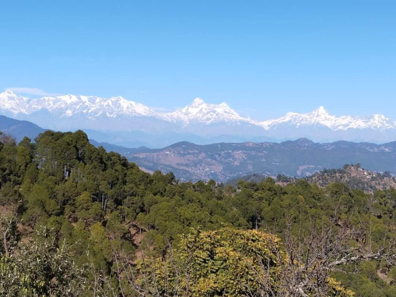  Residential Plot 130 Sq. Yards for Sale in Lamgara, Almora