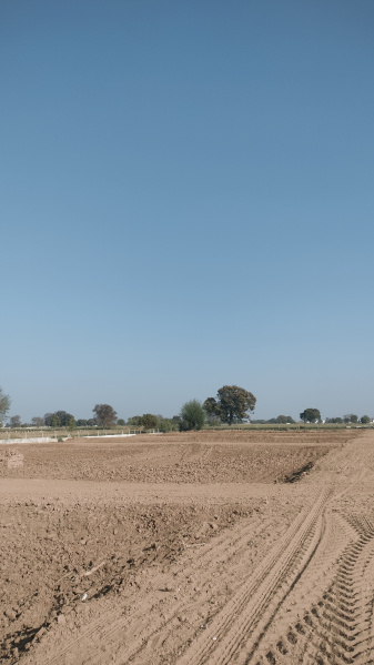  Residential Plot 200 Sq. Yards for Sale in Jewar, Gautam Buddha Nagar