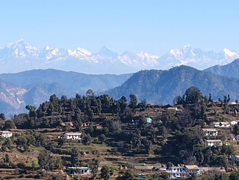  Residential Plot 300 Sq. Yards for Sale in Lamgara, Almora