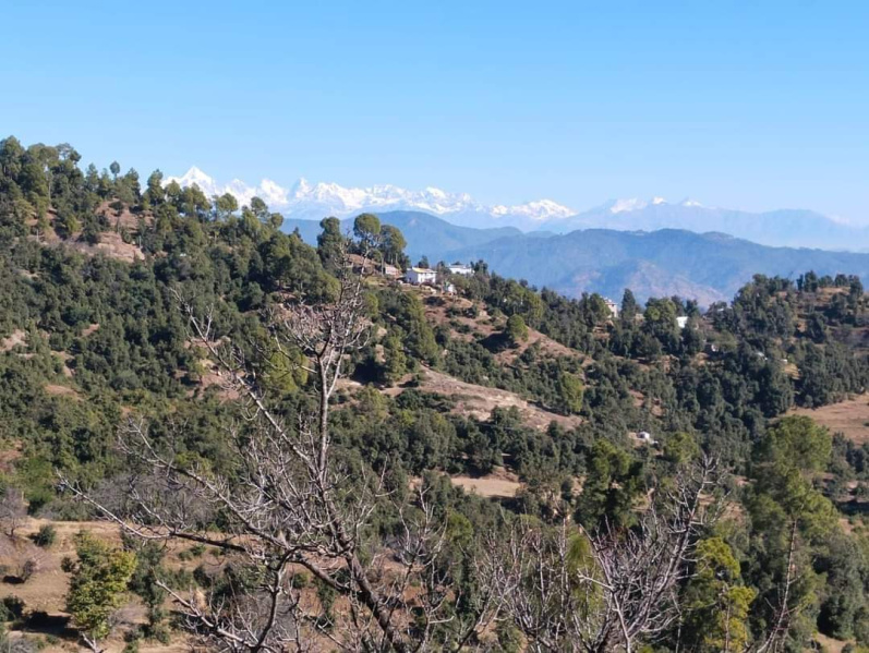 Residential Plot 100 Sq. Yards for Sale in Lamgara, Almora