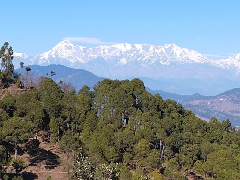  Residential Plot 100 Sq. Yards for Sale in Lamgara, Almora