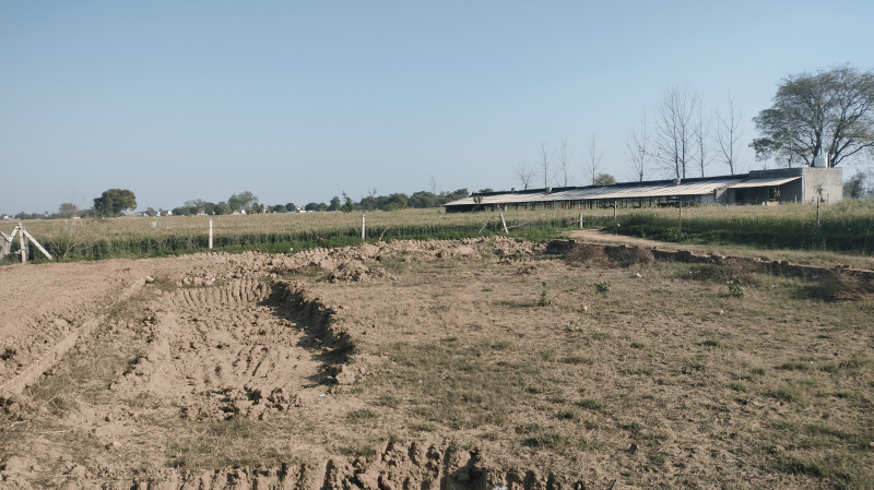  Residential Plot 80 Sq. Yards for Sale in Jewar, Gautam Buddha Nagar