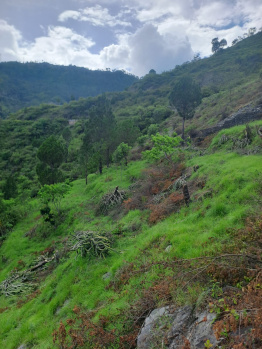  Agricultural Land for Sale in Kanatal, Tehri Garhwal