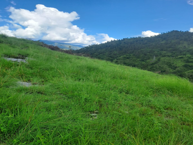  Residential Plot 2160 Sq.ft. for Sale in Chamba, Tehri Garhwal